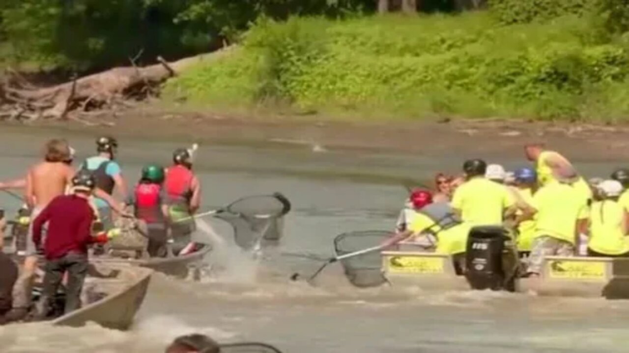 Red Neck Fish