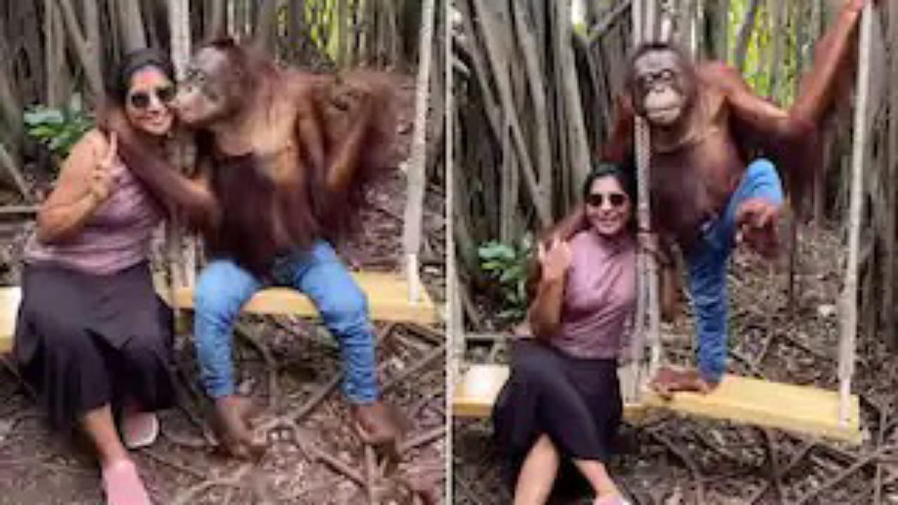 Video Viral