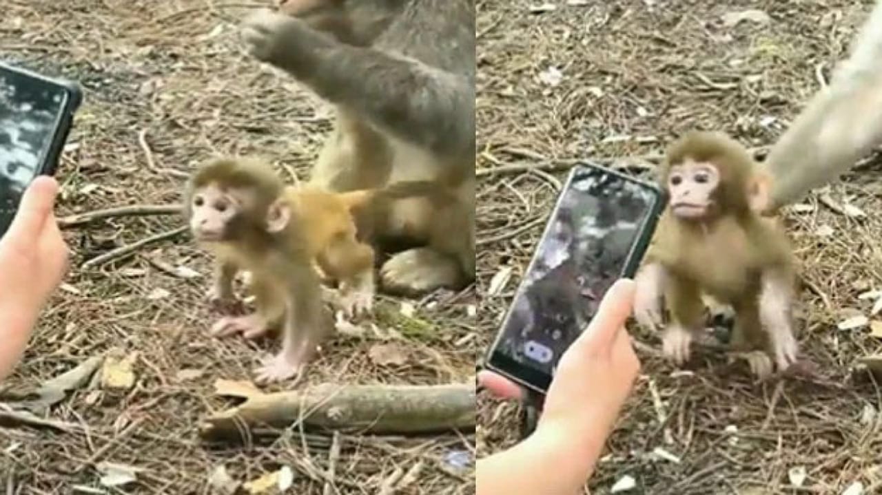 Viral Video