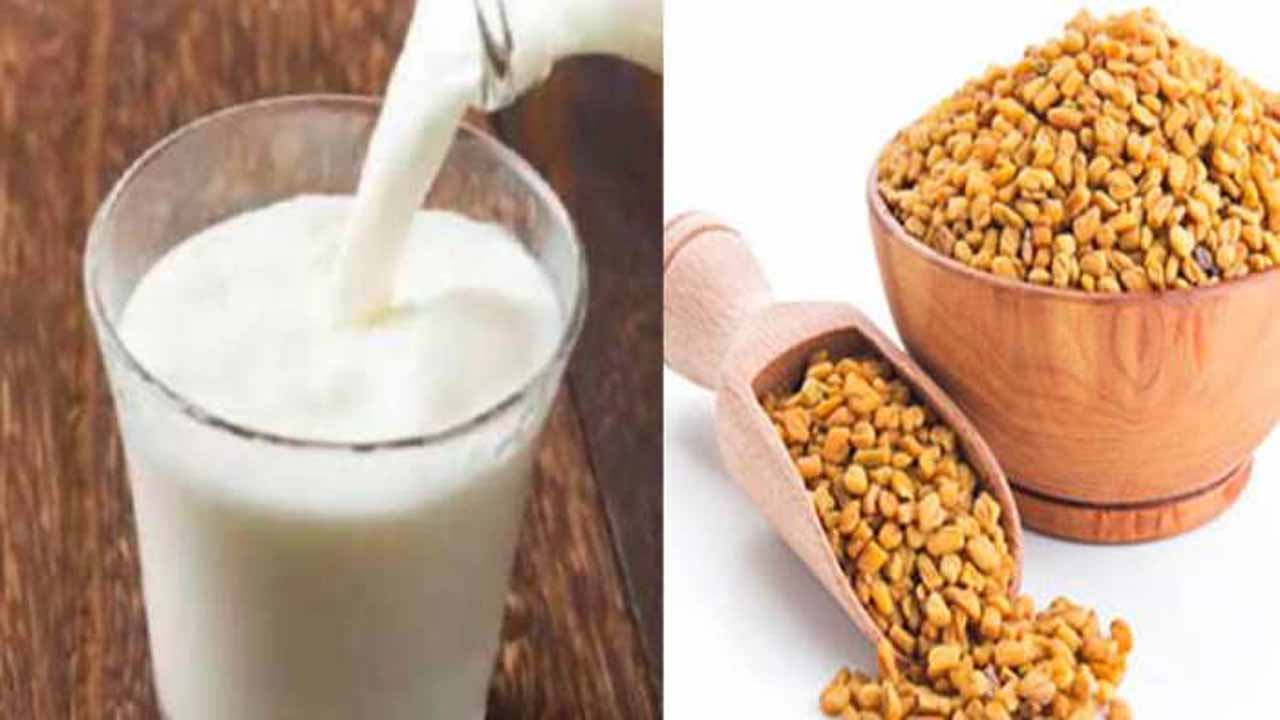 Fenugreek