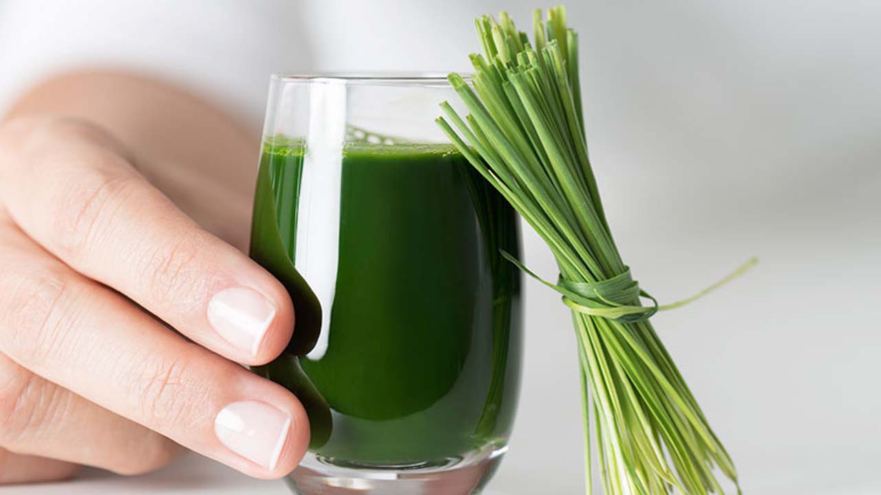 Native Grasses Benefits