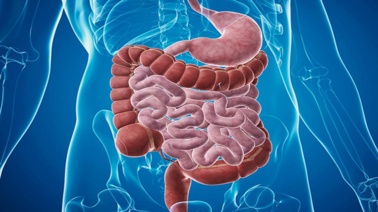 Why Shouldnt You Take Shower After Eating 2 Imresizer