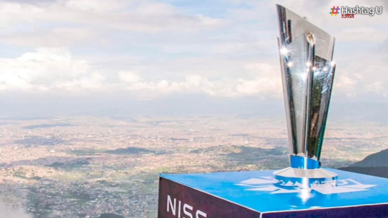 T20 world cup