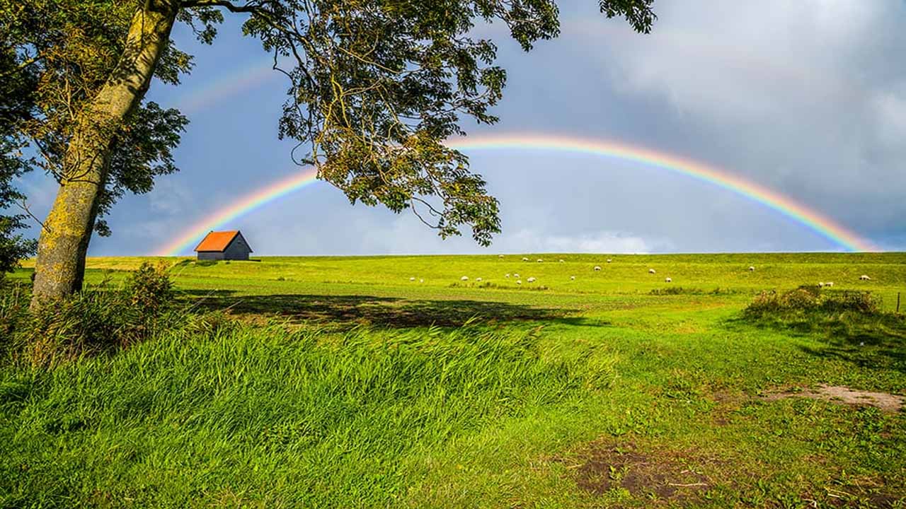 Rainbow