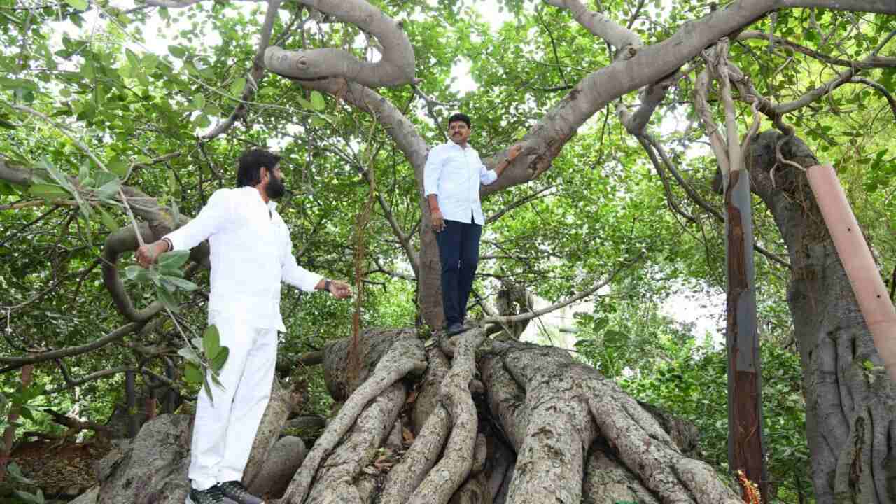 Santosh