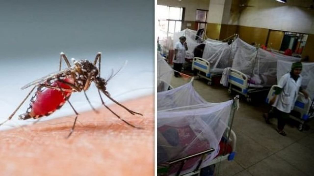 Diseases