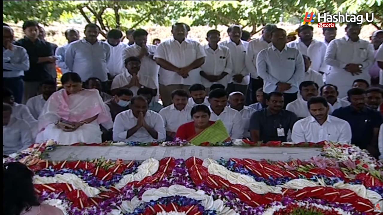 Ys Vardhanti
