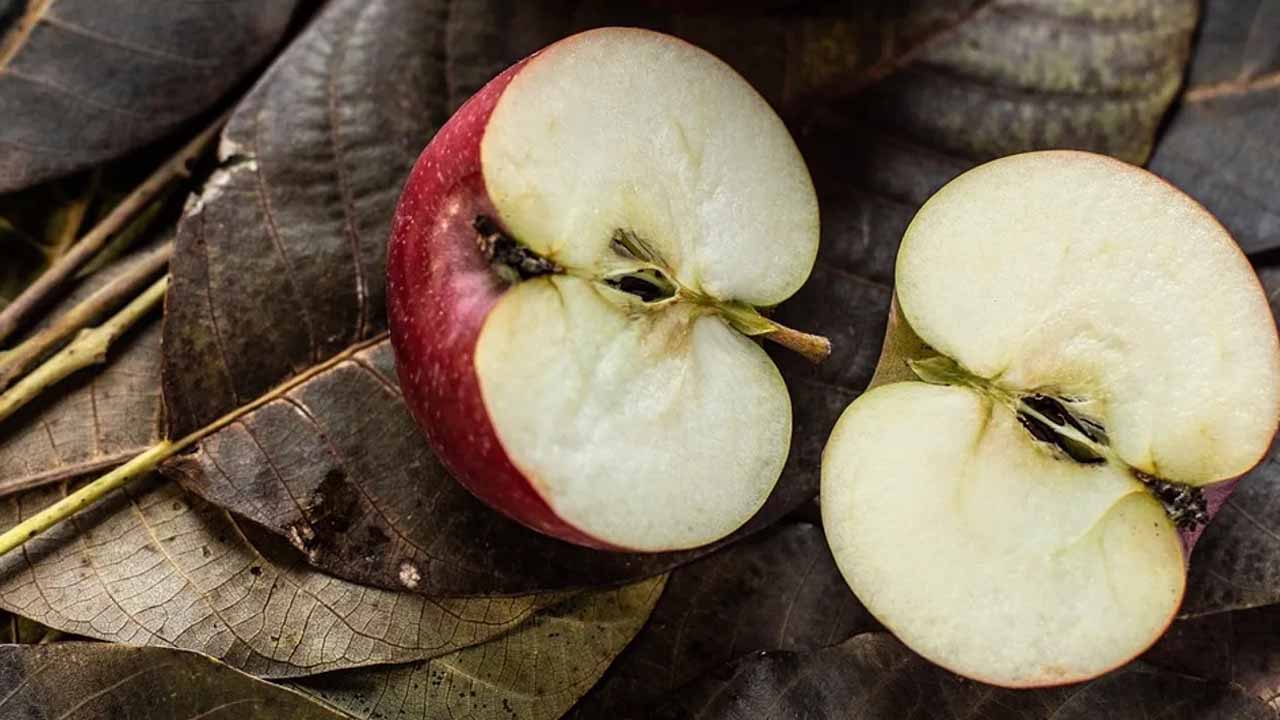 Apple Seeds