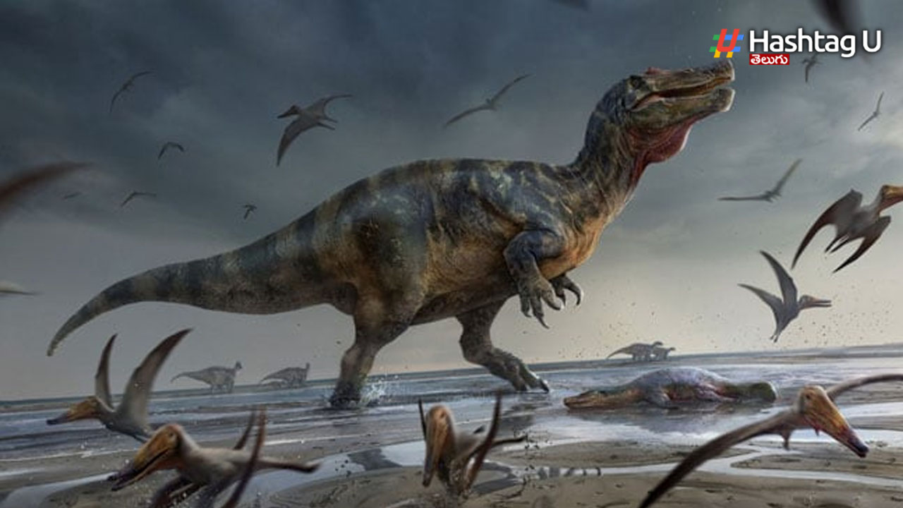 Dino