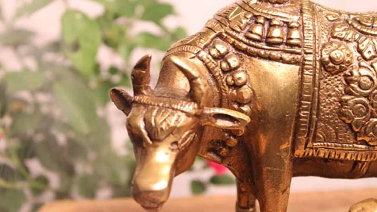Kamadhenu