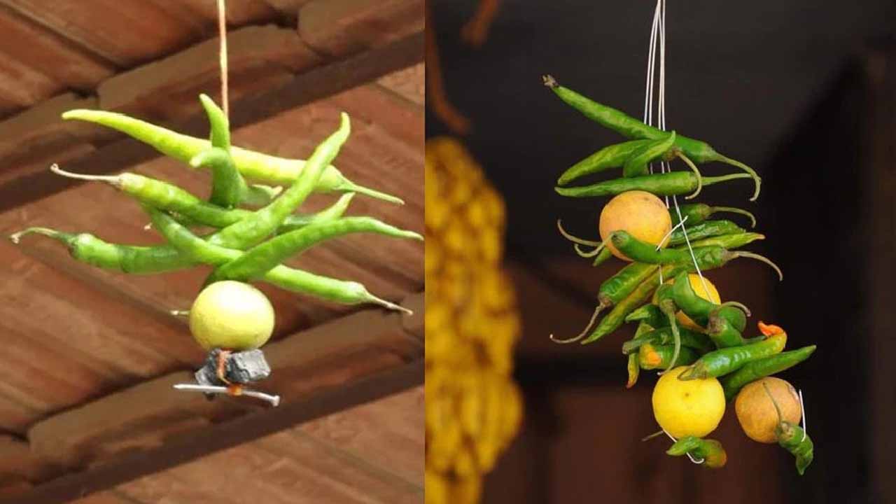 Lemon Disti