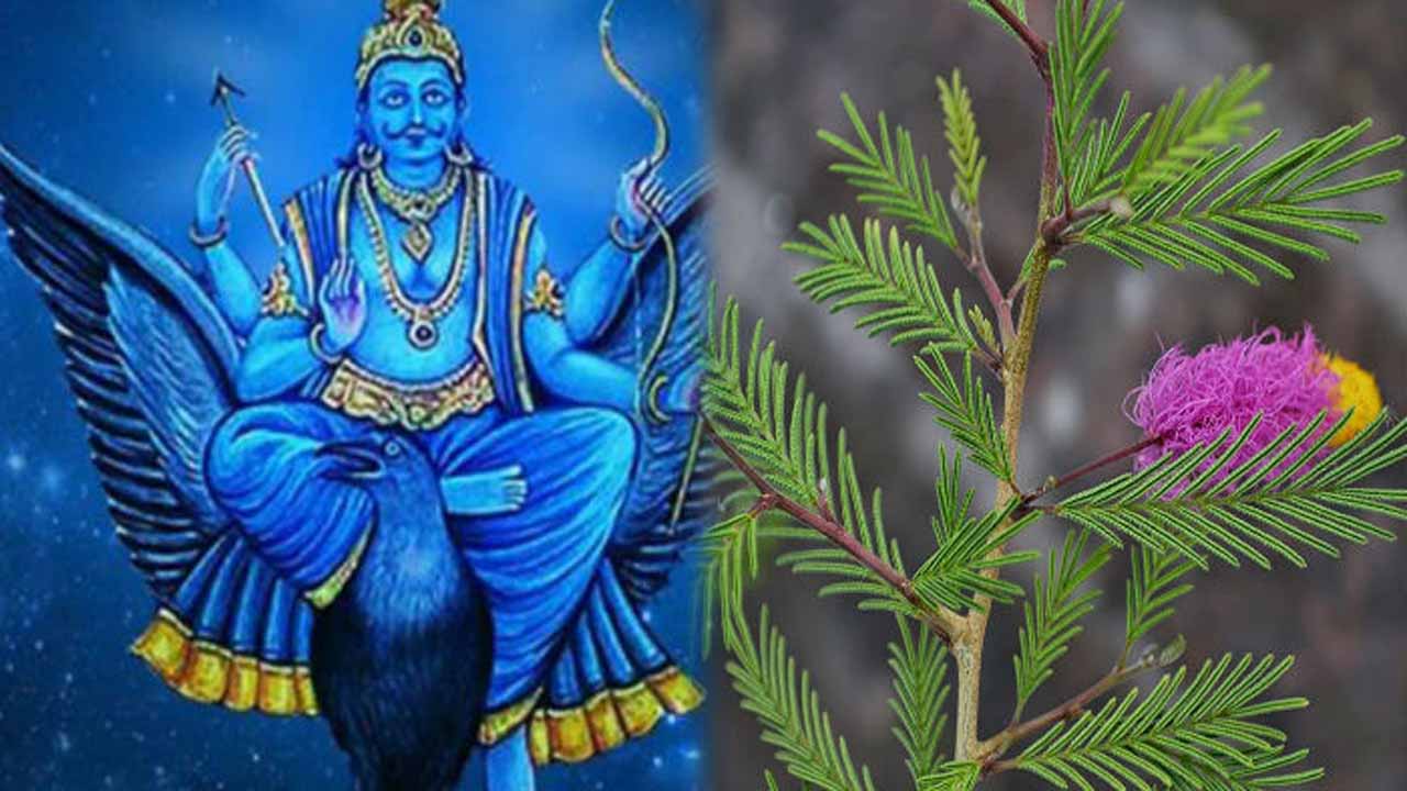 Shani