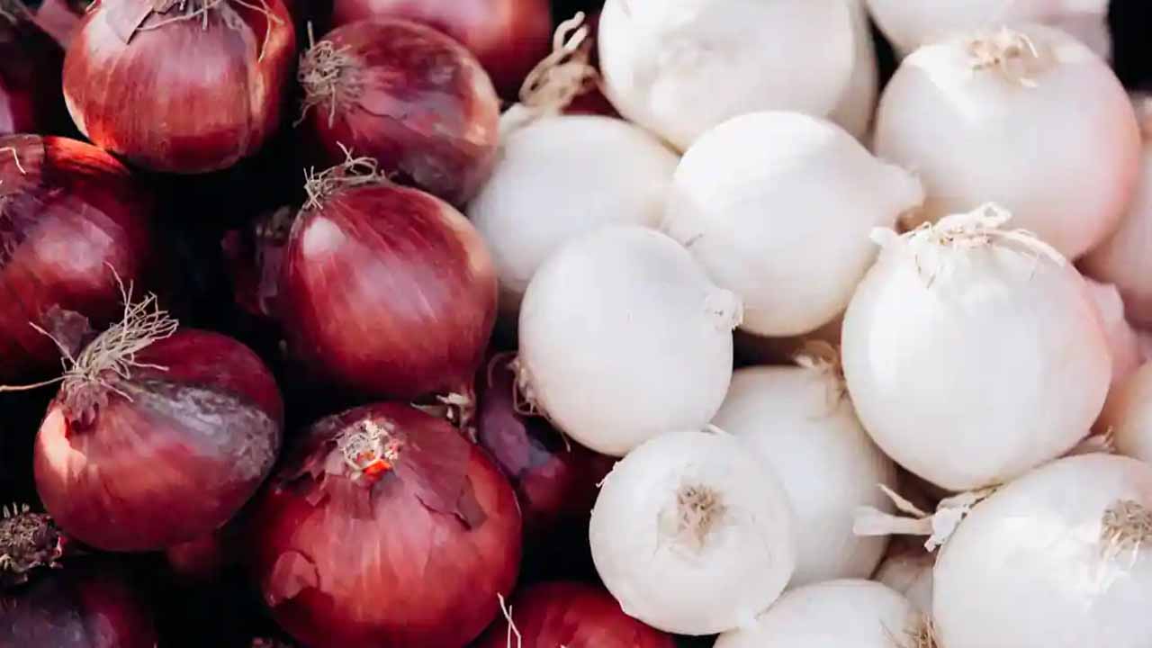 Onion Prices