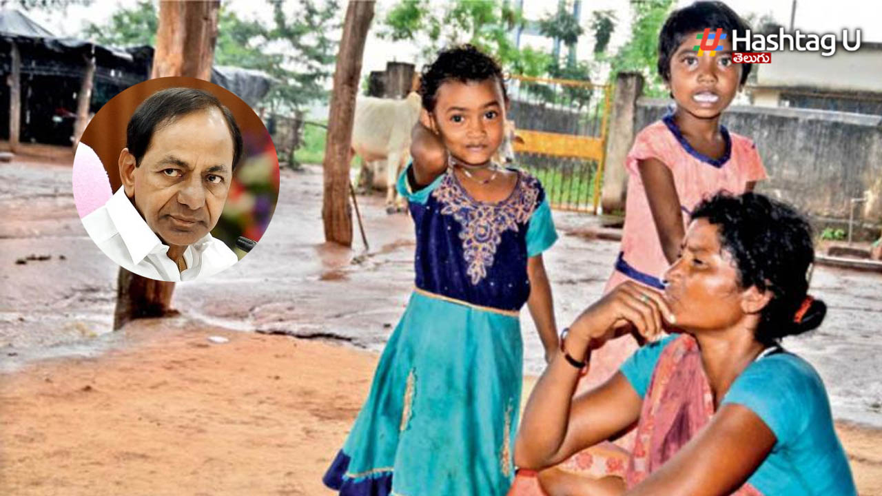 Telangana Schools
