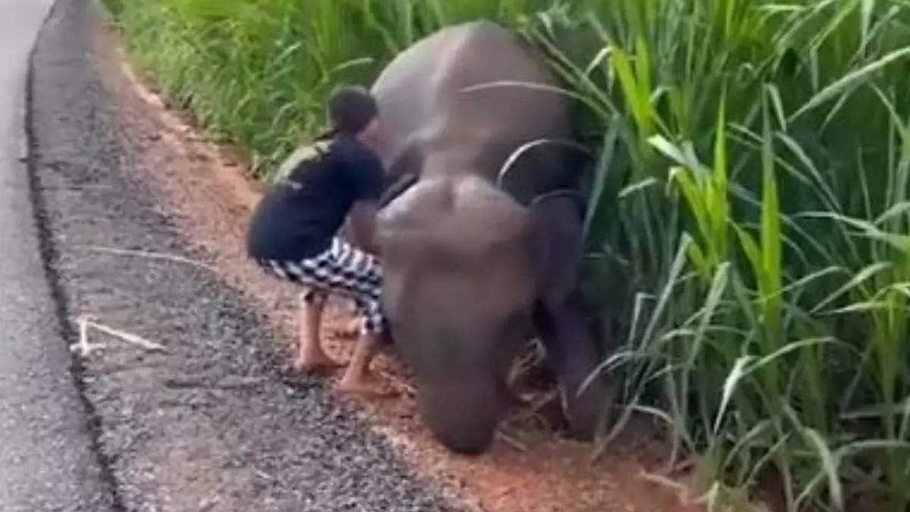Viral Video
