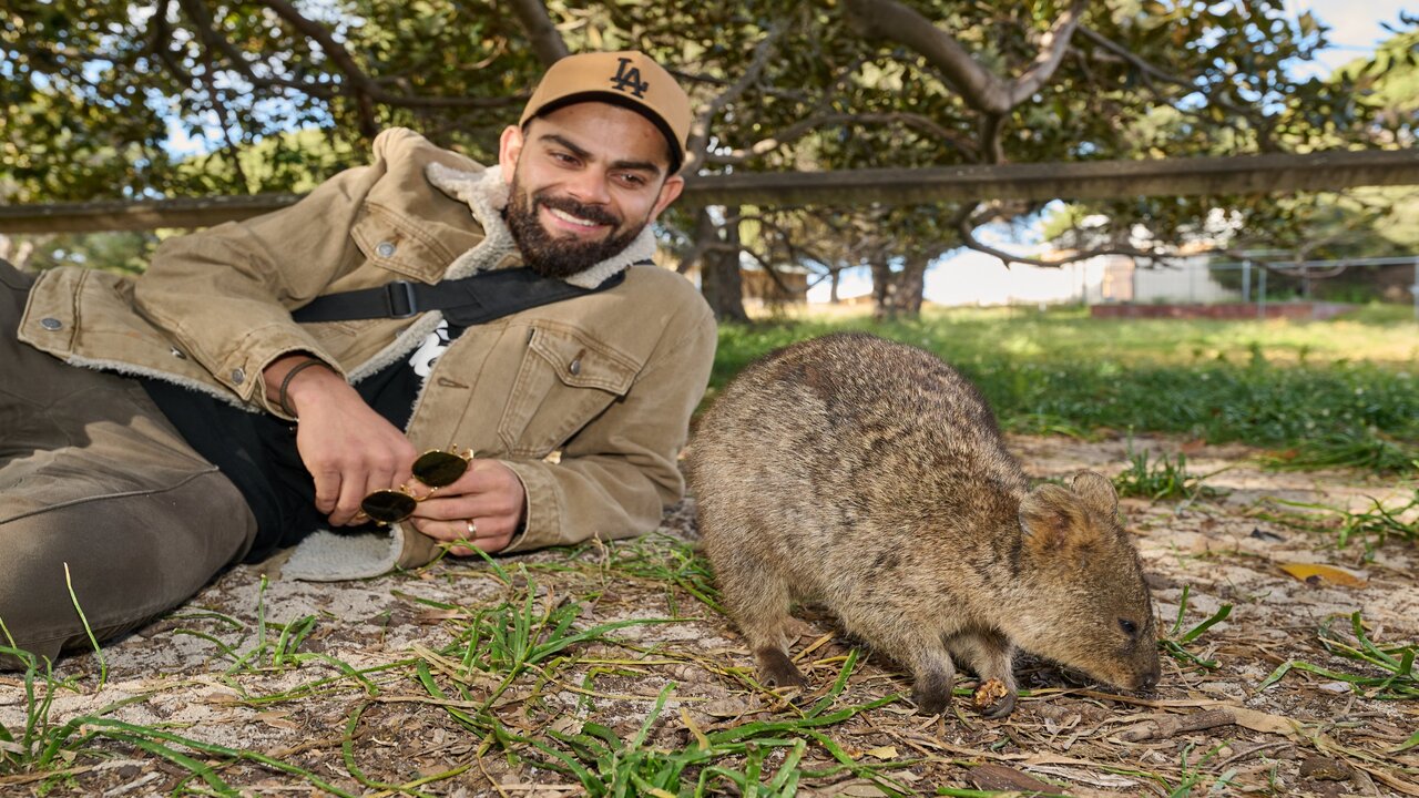 Virat