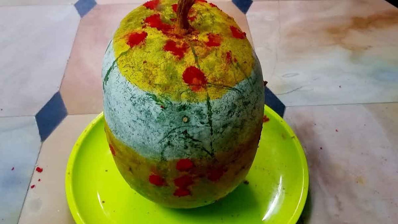 Ash Pumpkin