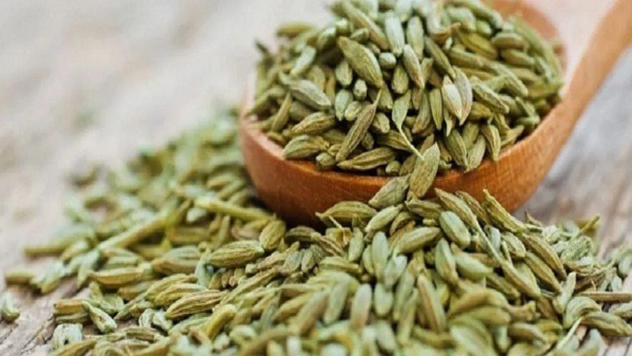 Fennel Seeds Benefits
