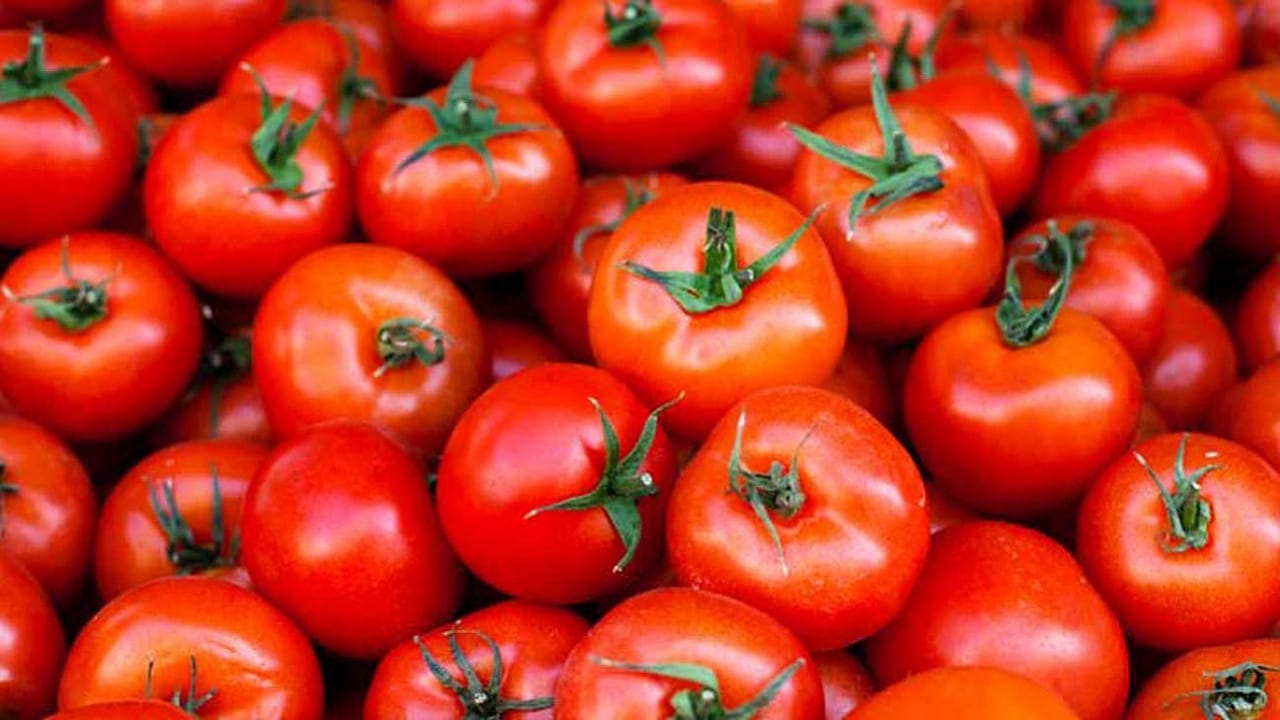 Tomato Prices
