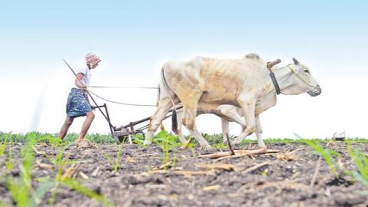 Agri