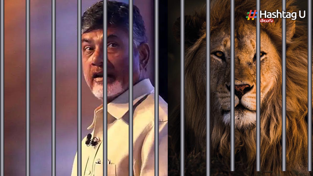 Babu Lion Jail
