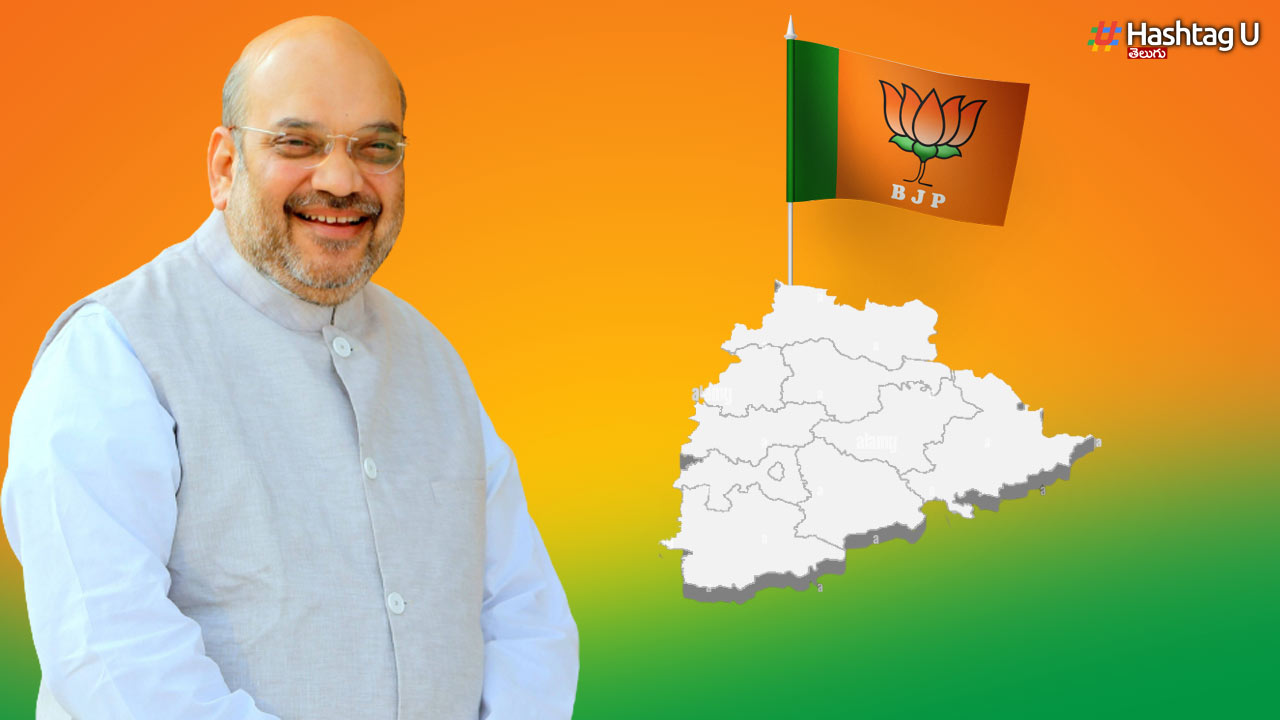 T Bjp