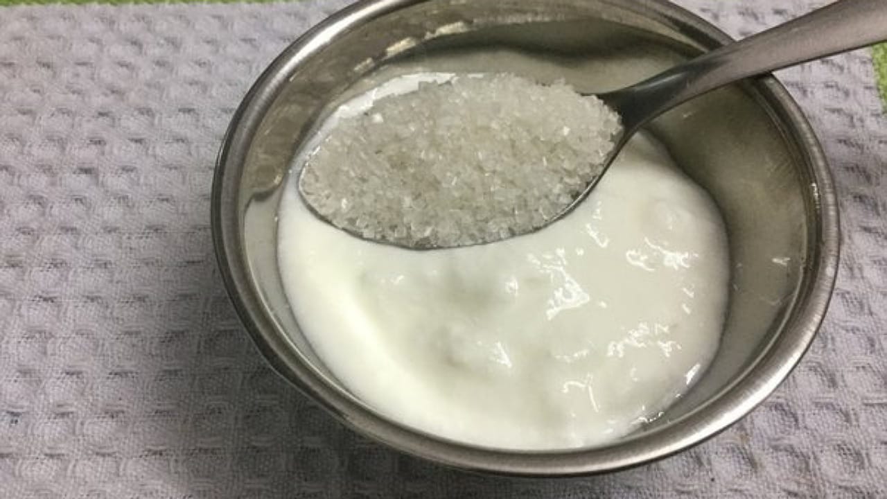 Curd With Sugar