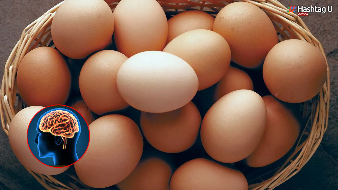 Egg