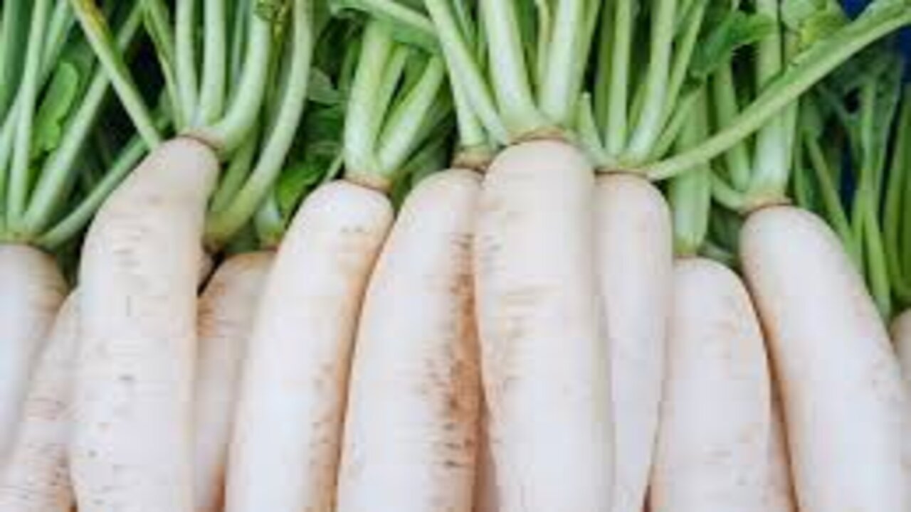 Radish