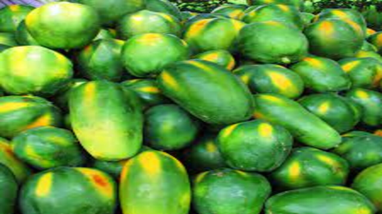 Papaya Benefits