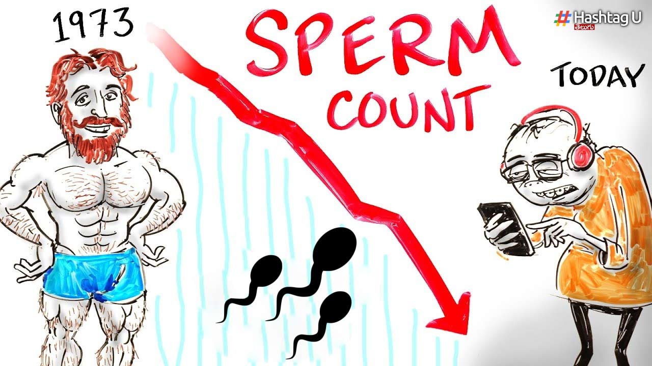 Sperm