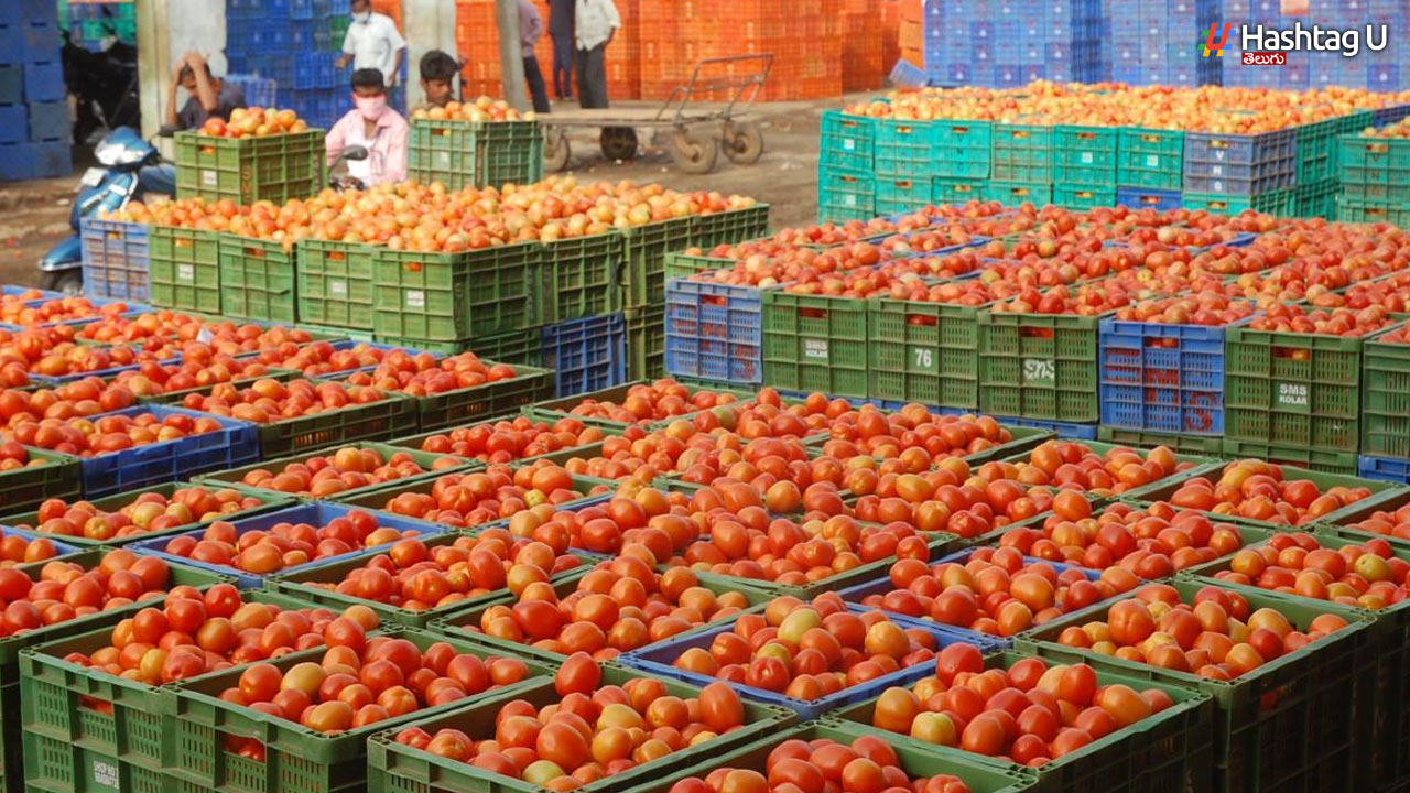 10 KG Tomatoes