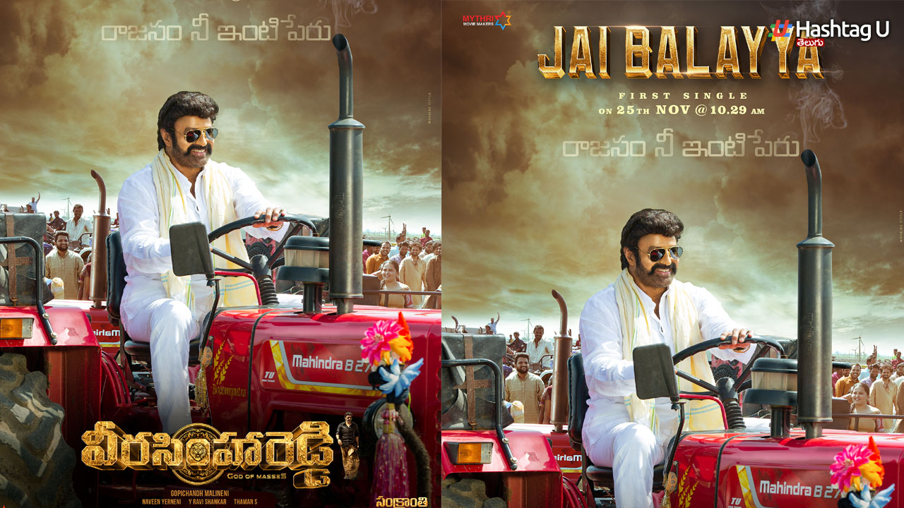 Veera Simha Reddy