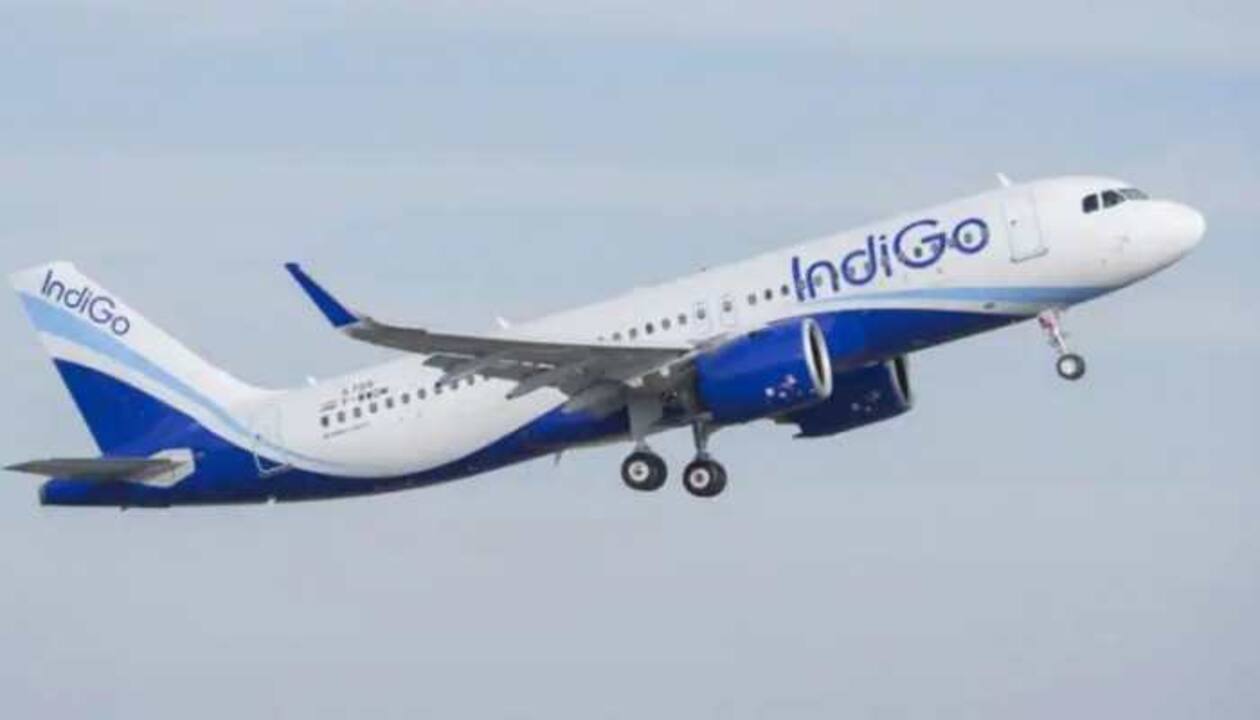 Indigo
