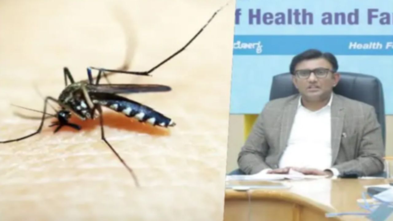 Zika Virus