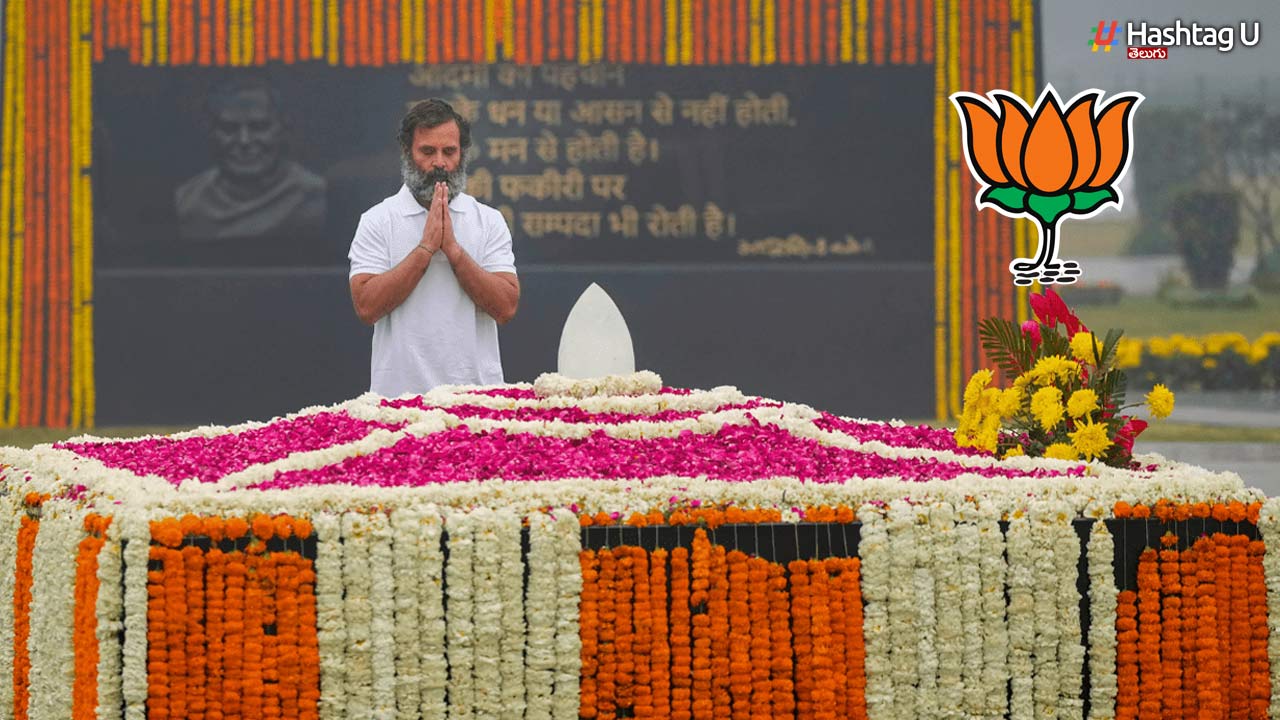 Bjp Rahul Gandhi