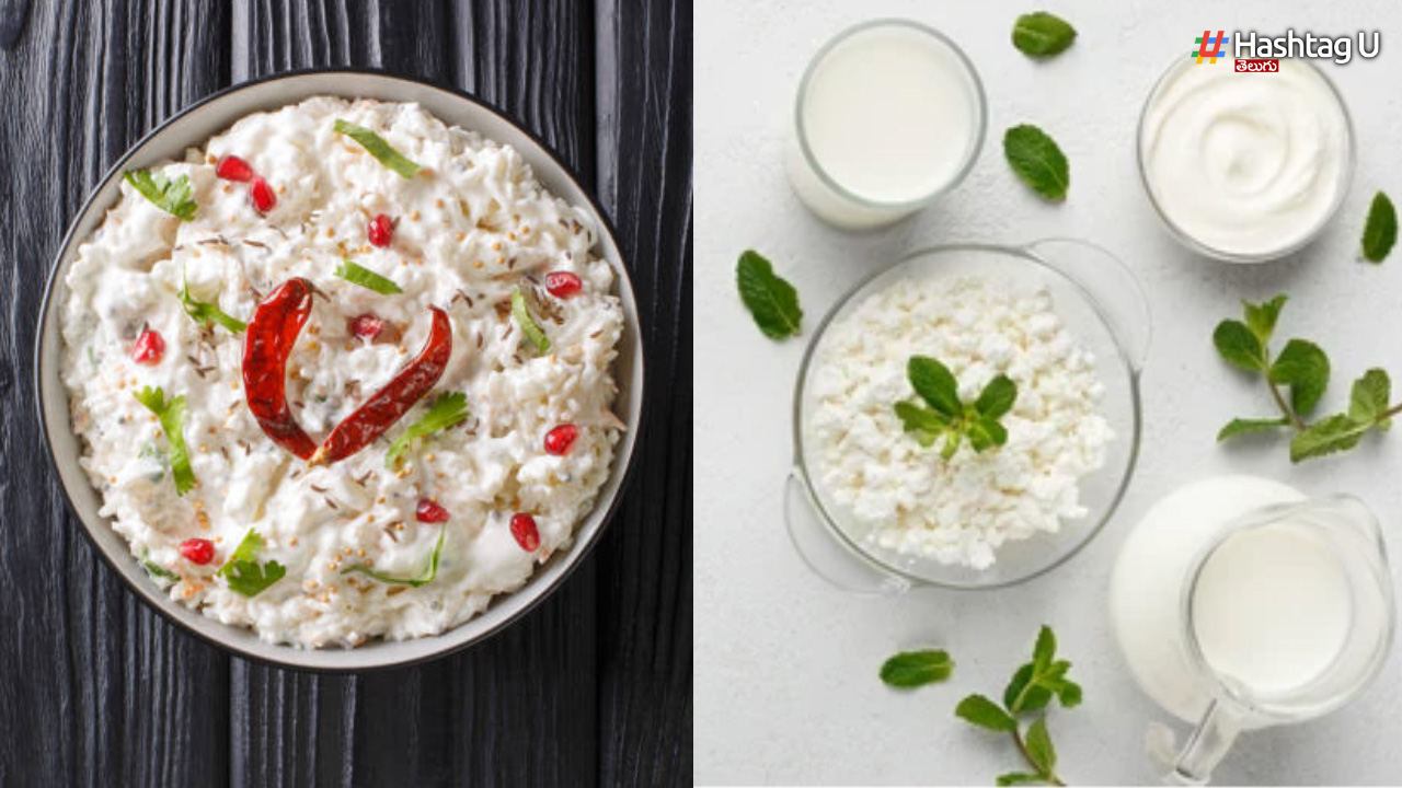 Curd Rice Benefits