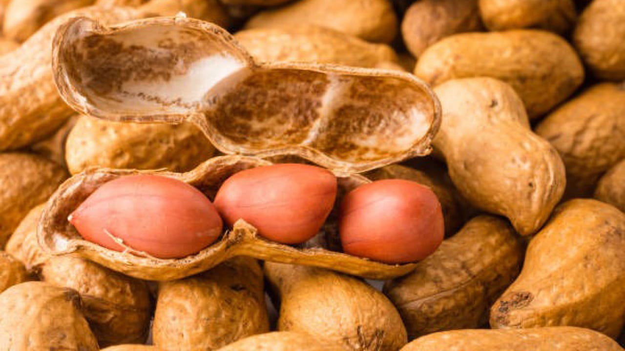 Peanuts In Winter