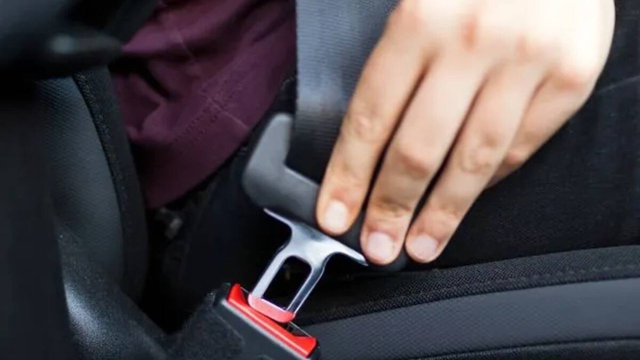 Seat Belt