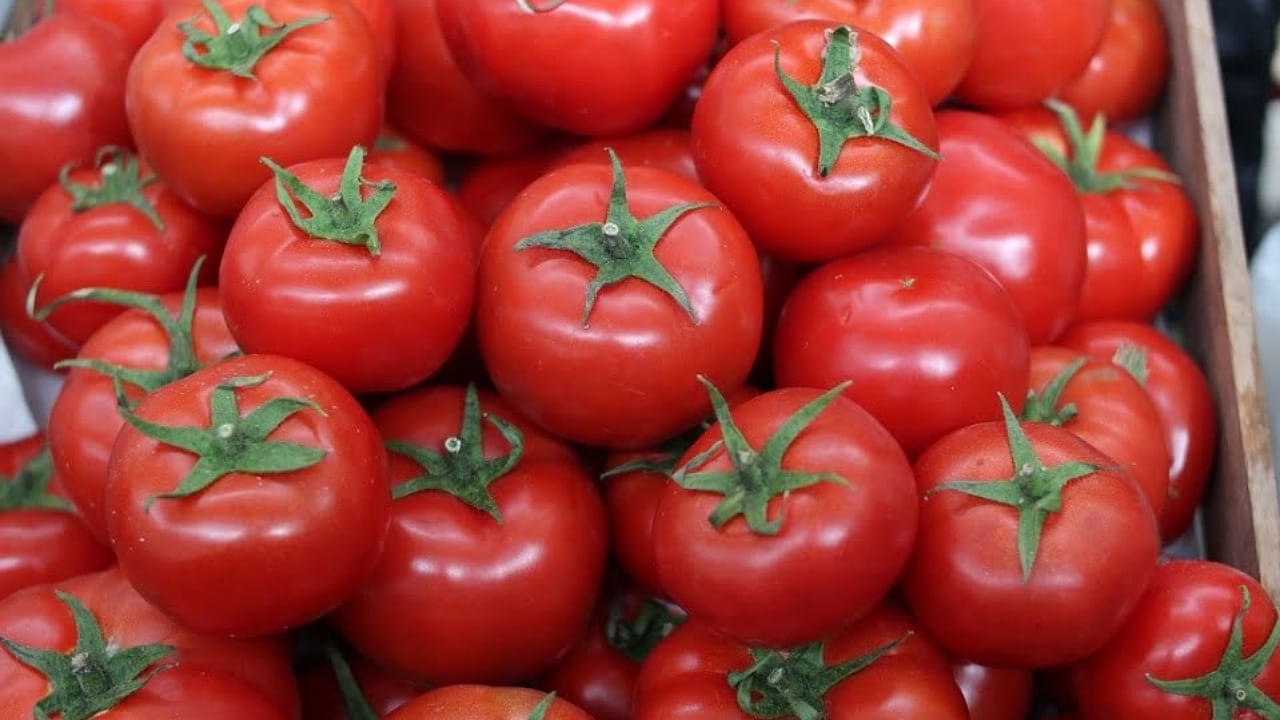 Tomato Sales