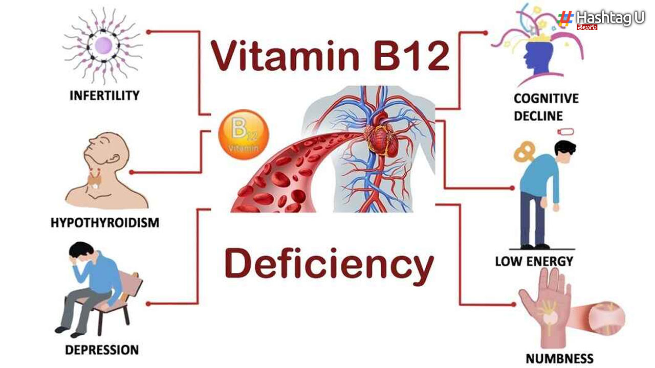 B 12 Defiecy