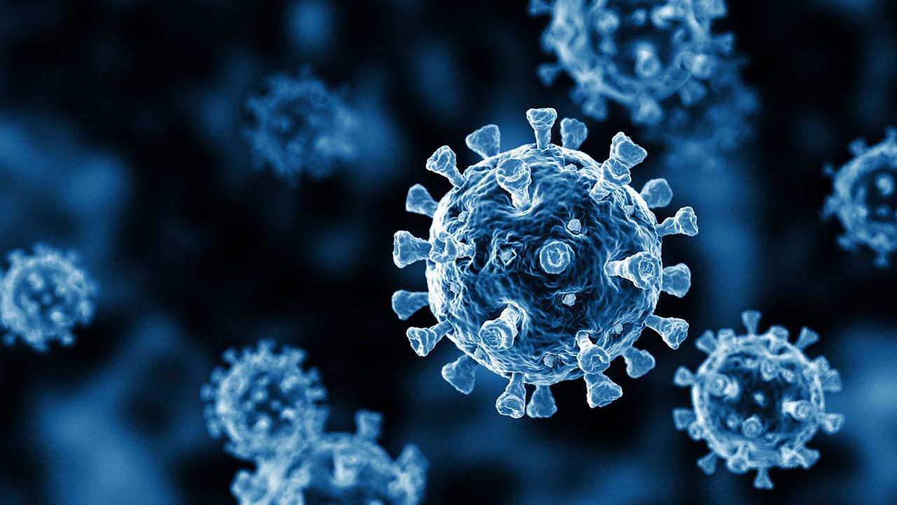 Norovirus