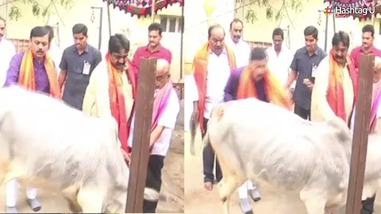 Cow GVL Narasimha Rao