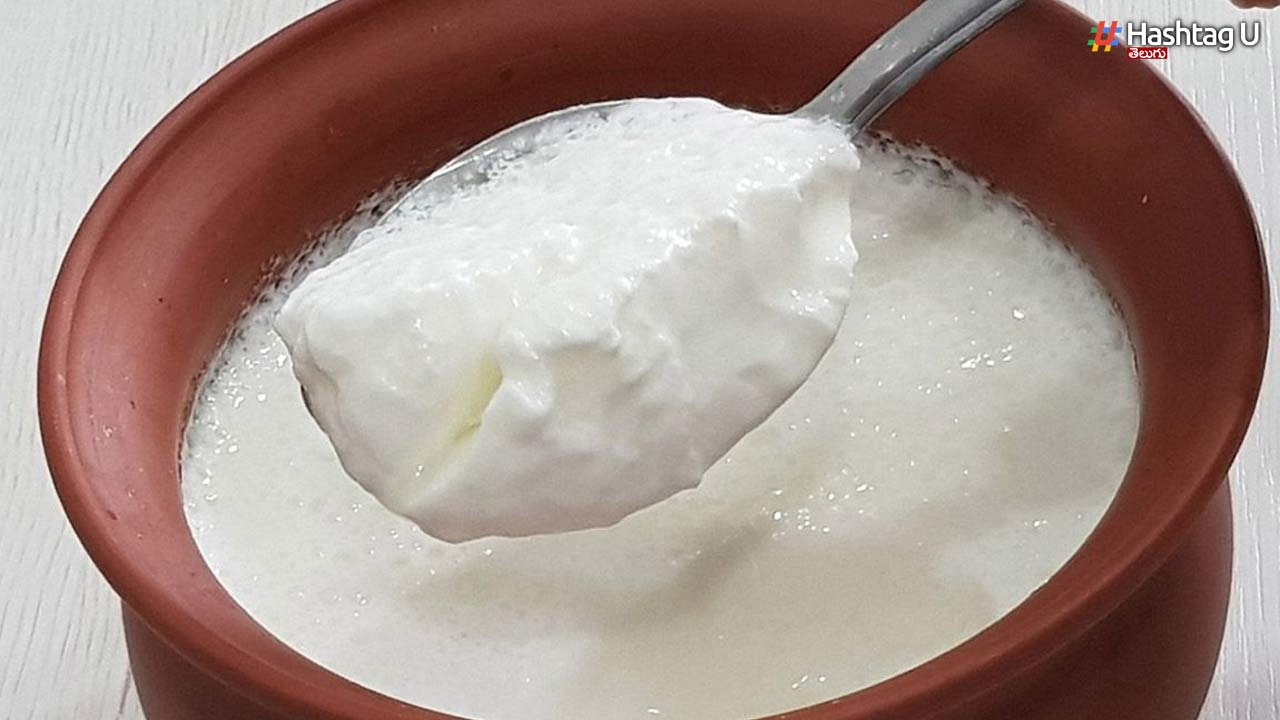 Curd For Weight Loss