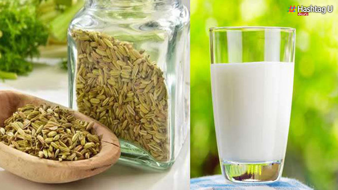 Fennel Milk