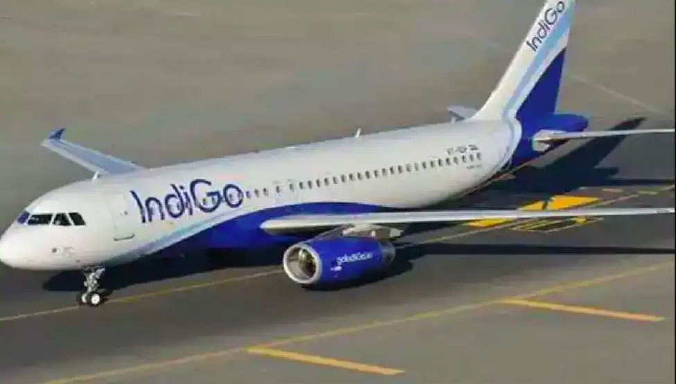 Indigoflight