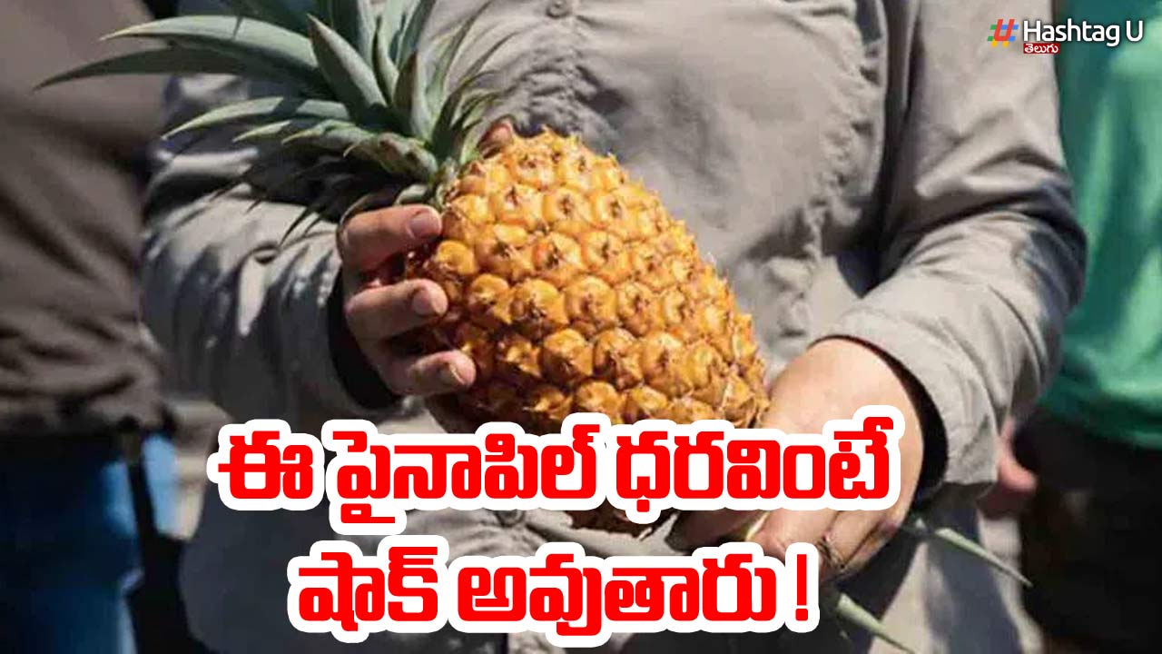 Pineapple England