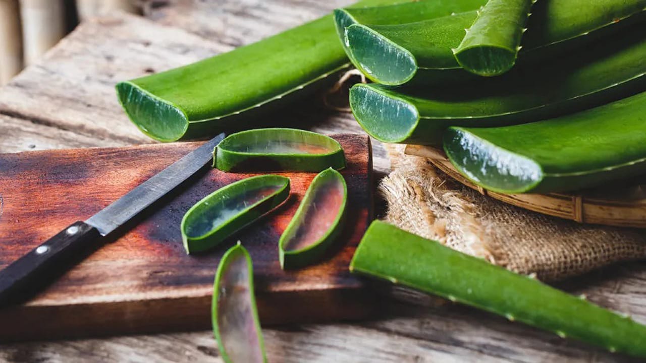 Aloevera