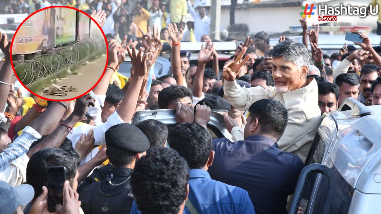 CBN Arrest