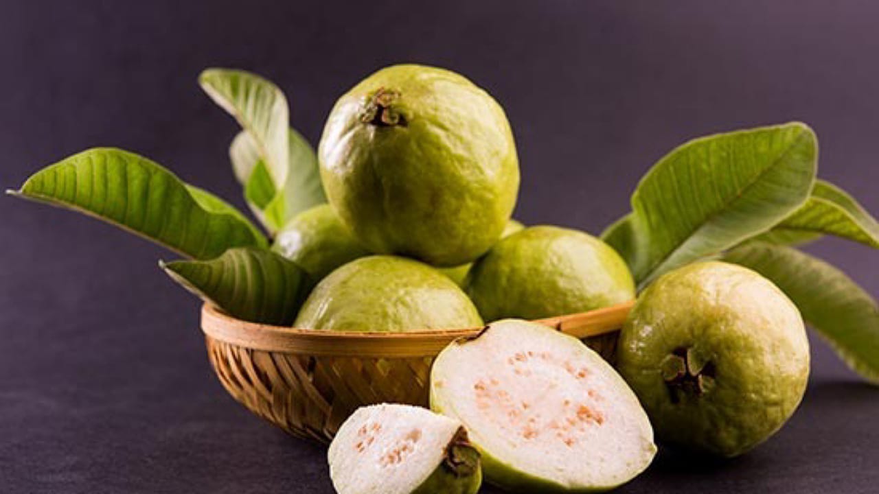 Guava In Winter